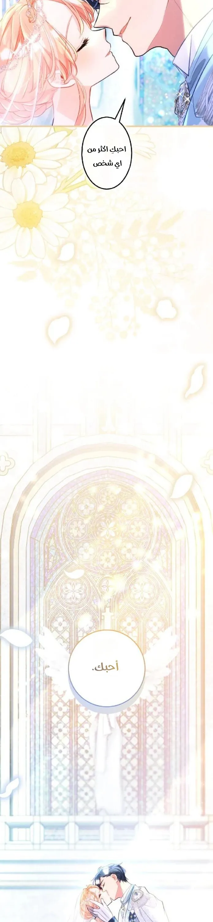 الصفحة 23