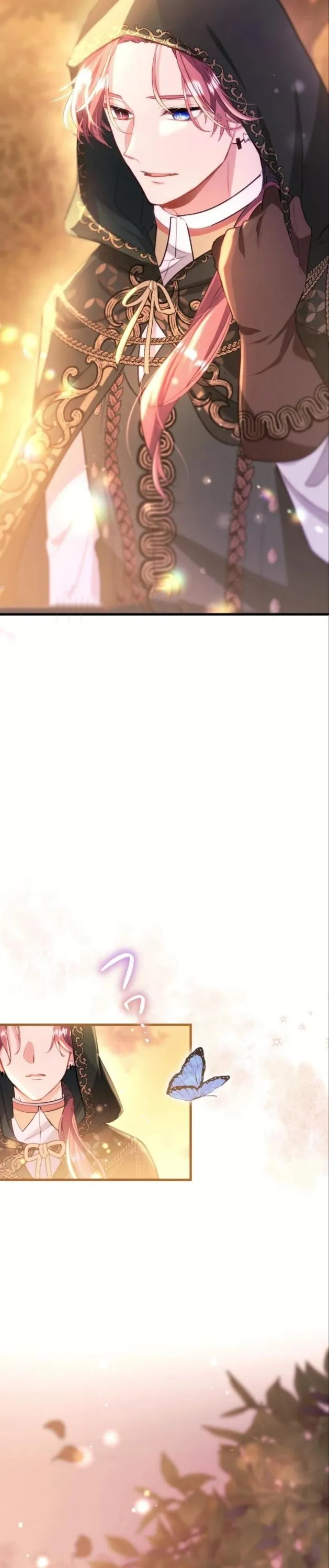 الصفحة 46
