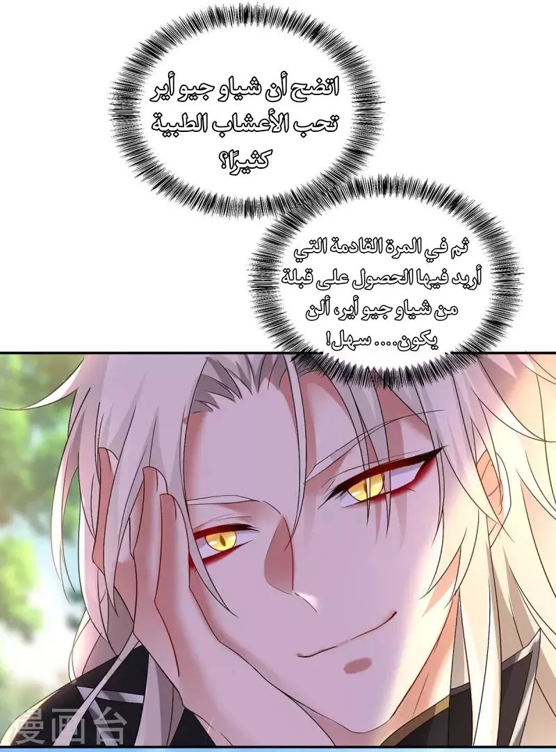 الصفحة 32