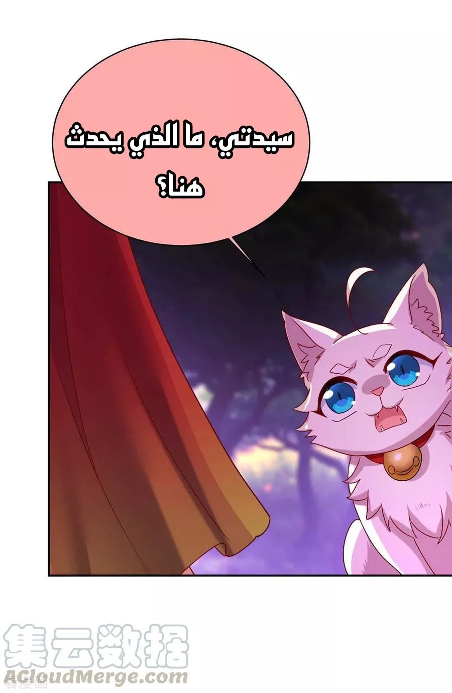 الصفحة 24