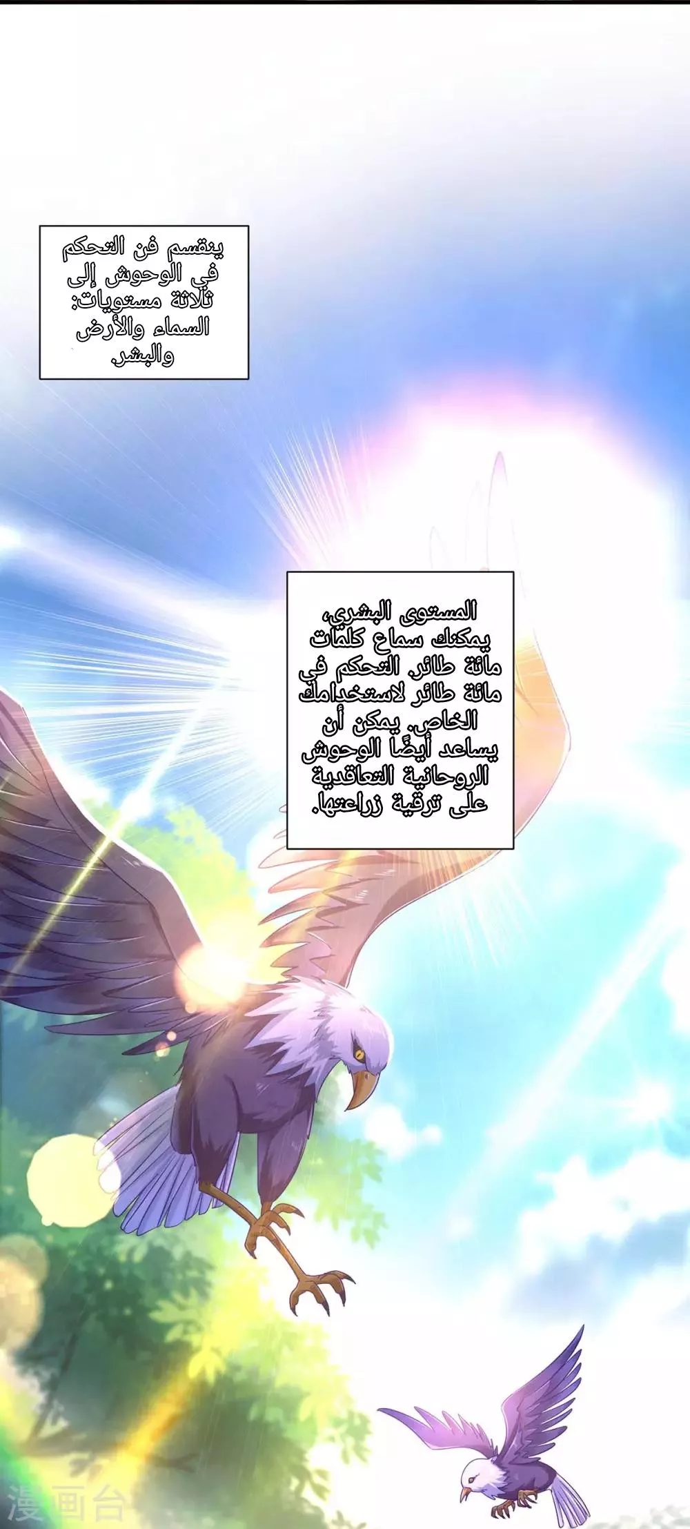 الصفحة 19