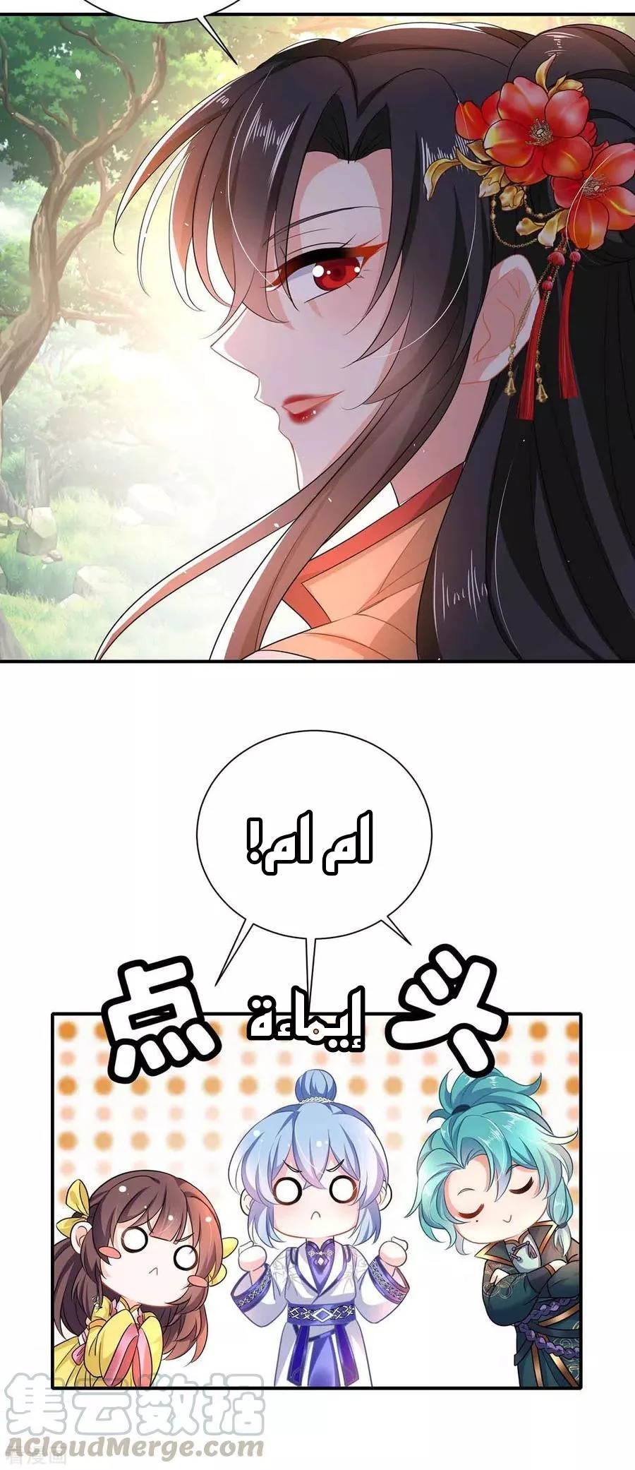 الصفحة 8