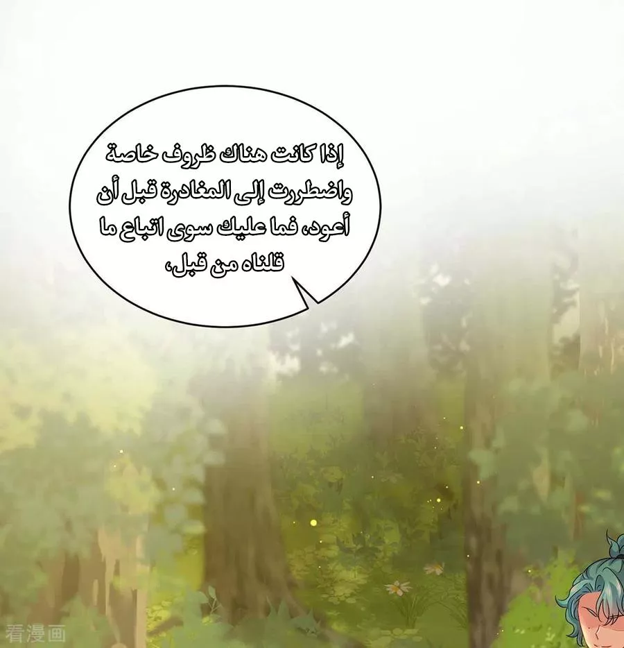 الصفحة 25