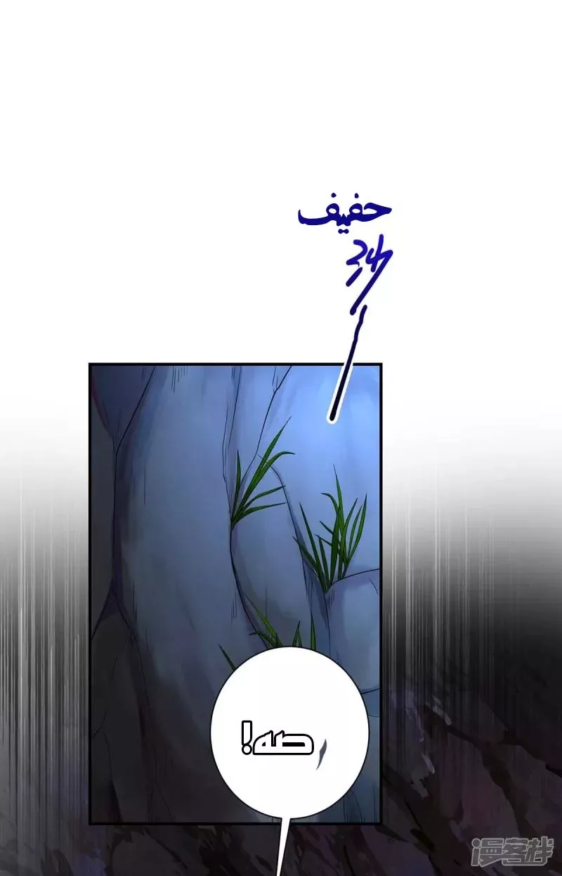 الصفحة 23