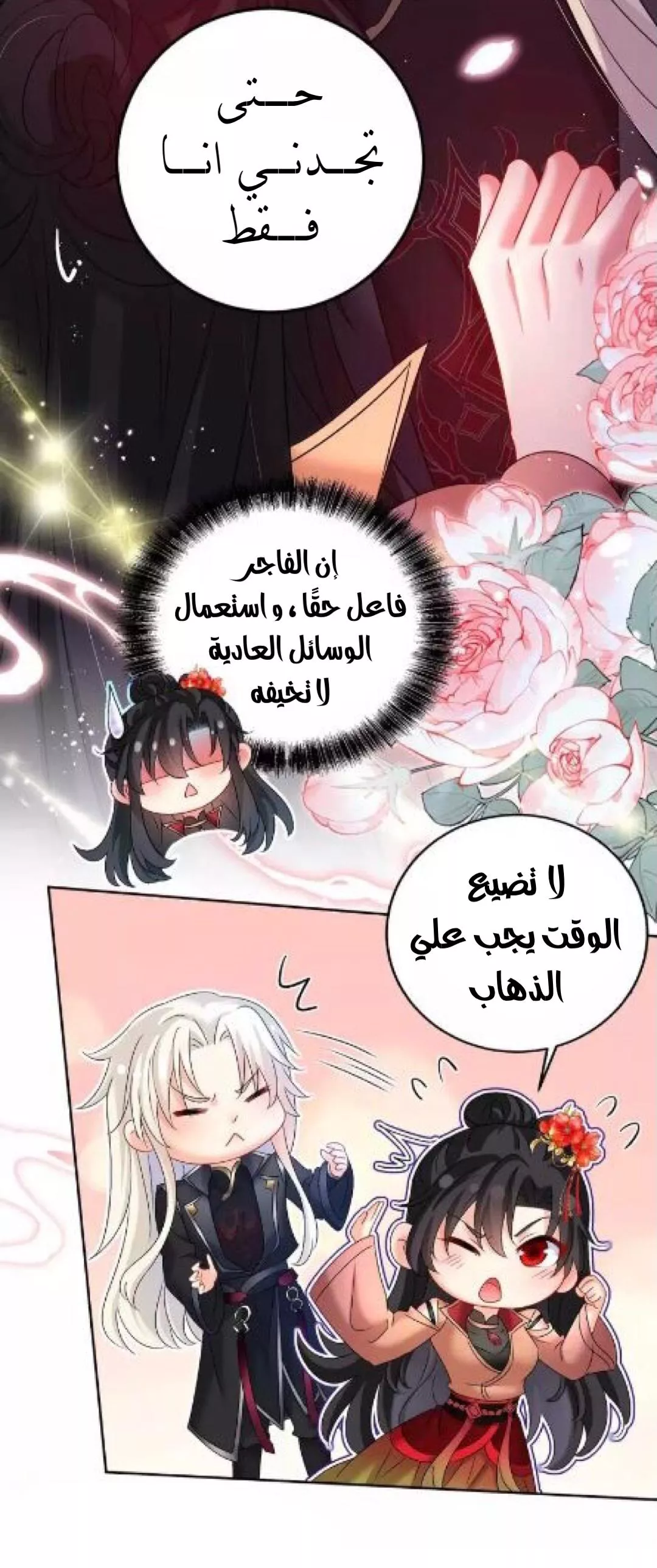 الصفحة 13