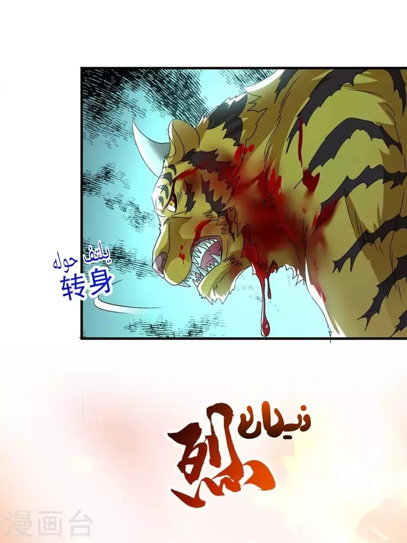الصفحة 13