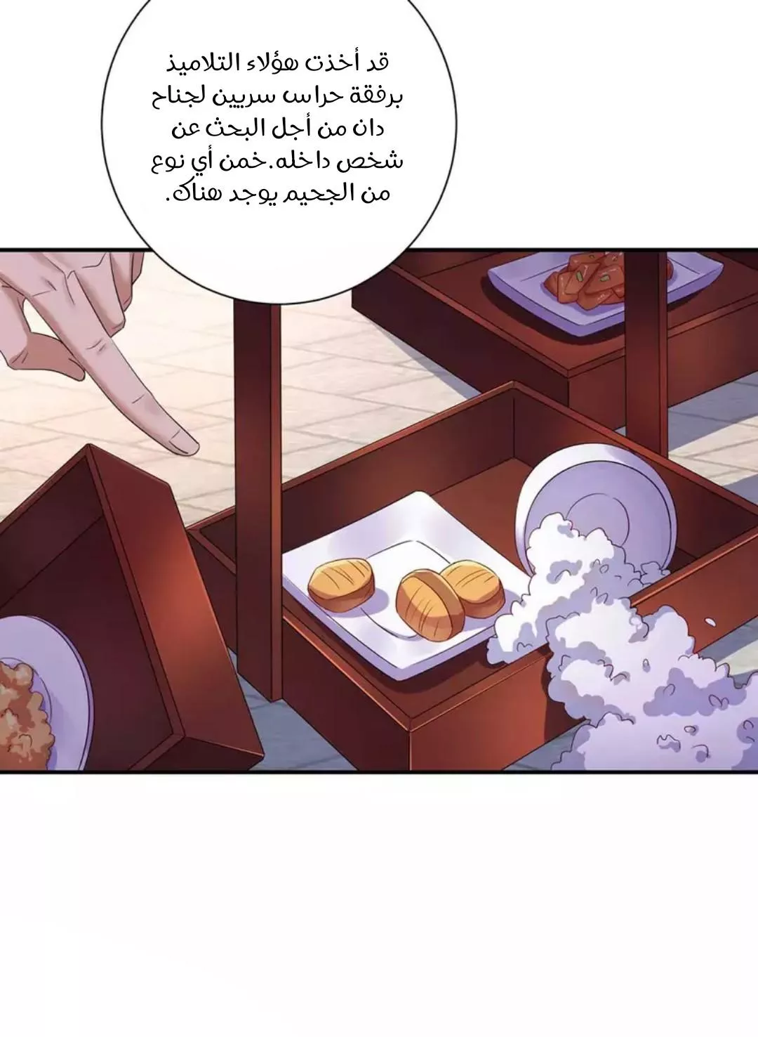 الصفحة 13
