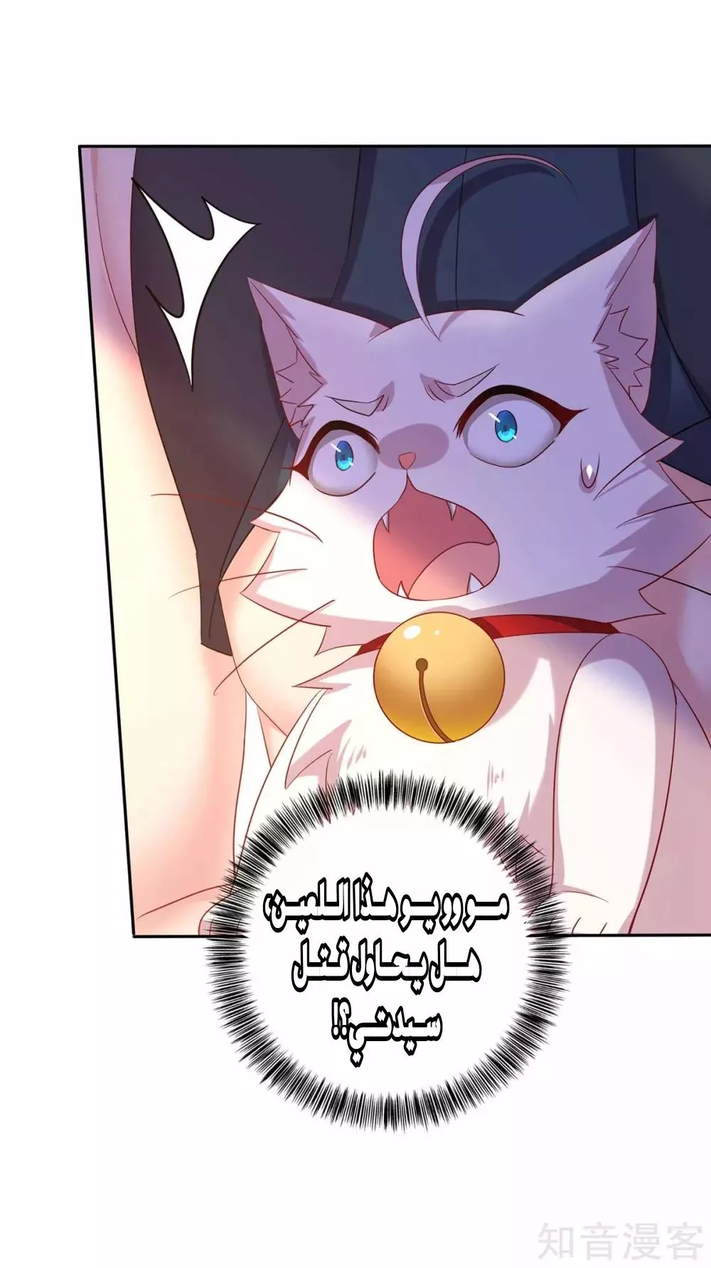 الصفحة 13