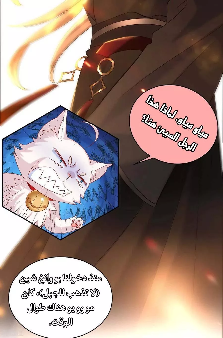 الصفحة 13
