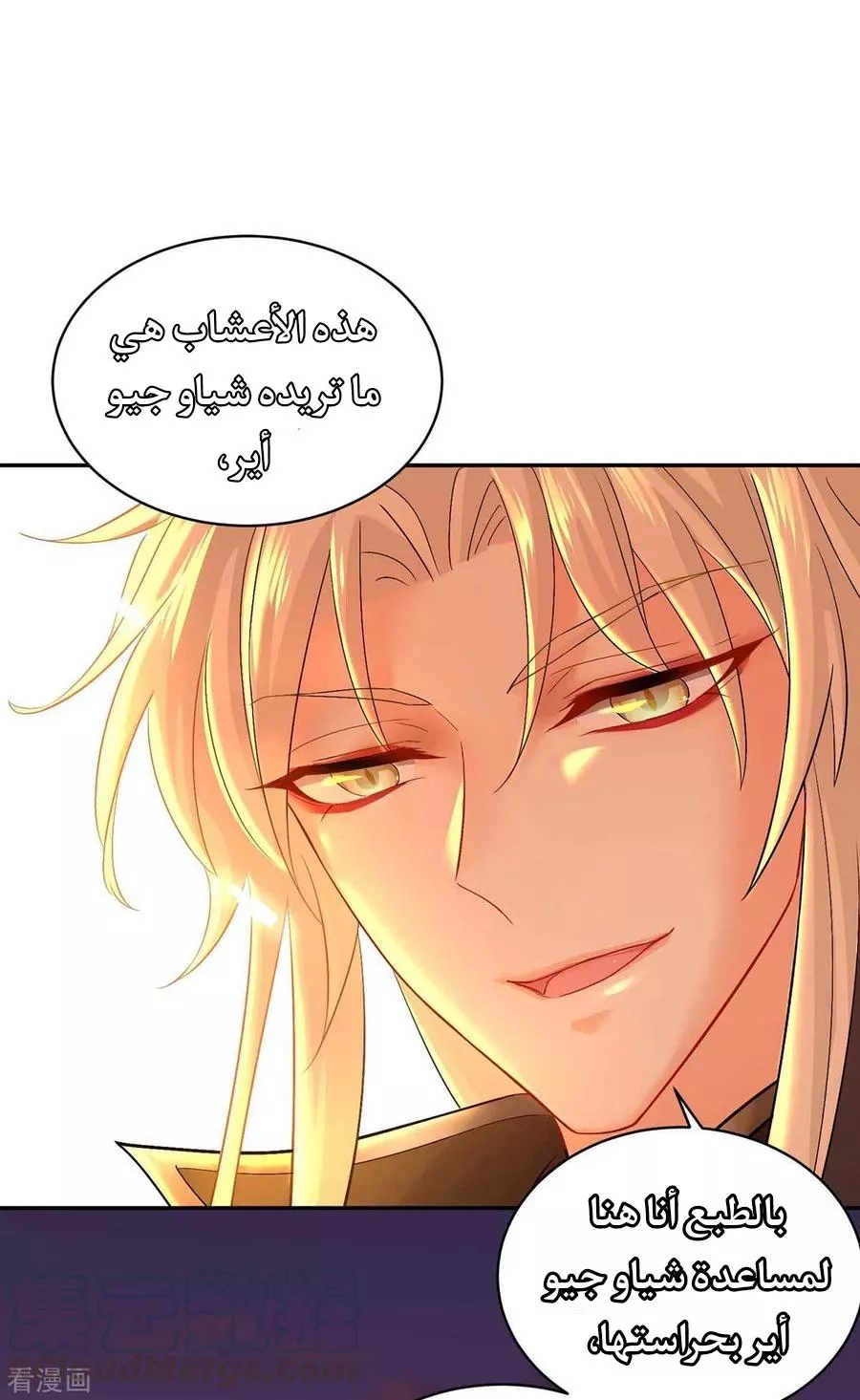 الصفحة 16