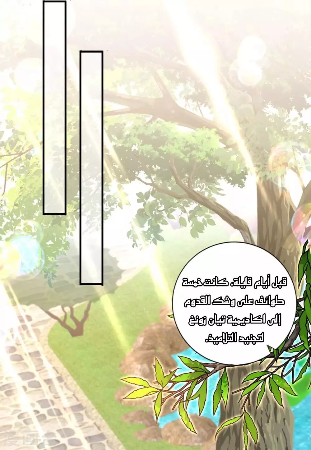 الصفحة 17