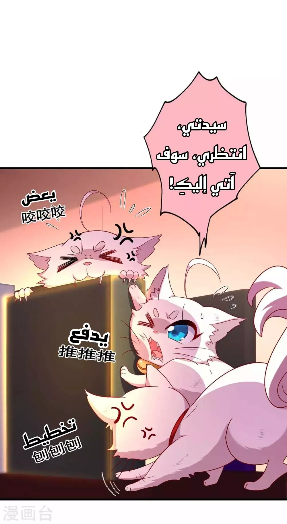 الصفحة 6