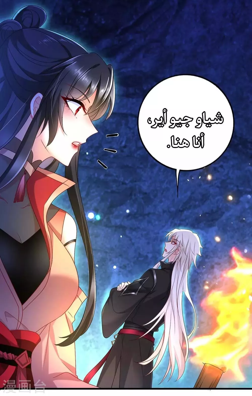 الصفحة 14
