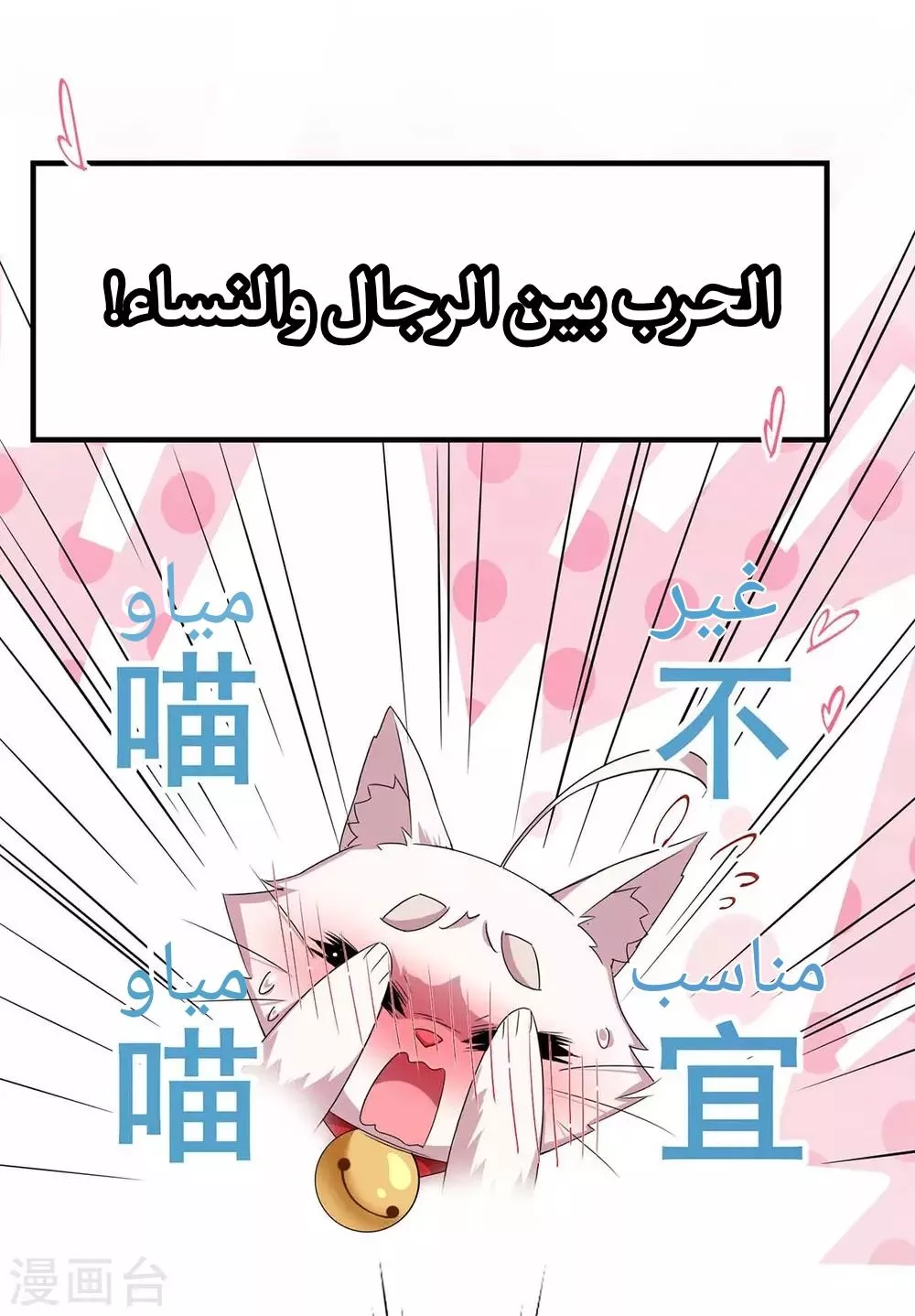 الصفحة 17