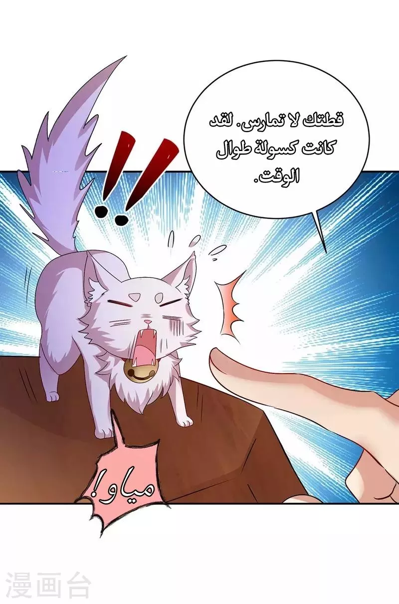 الصفحة 3