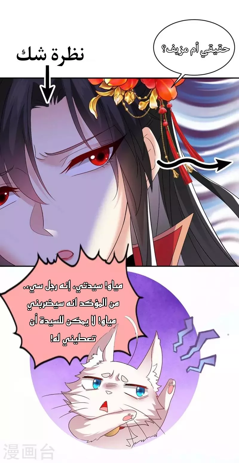 الصفحة 7