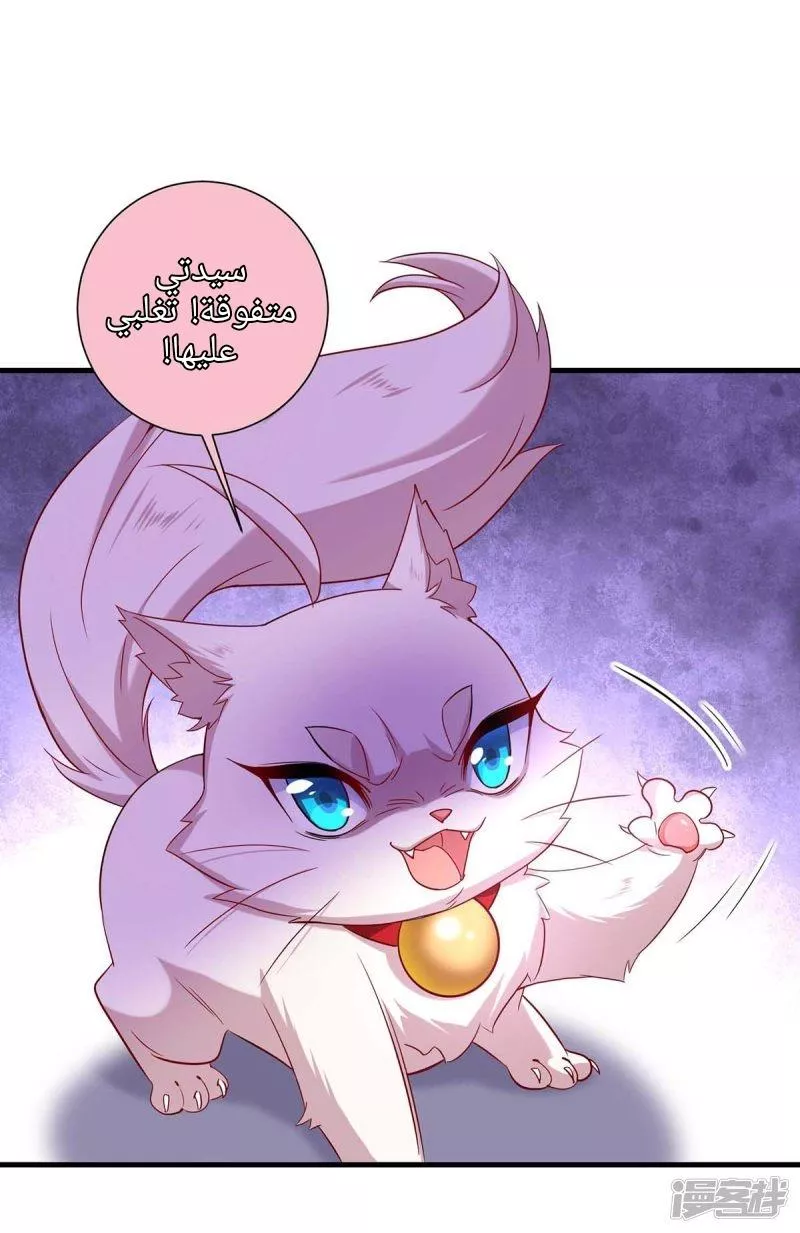 الصفحة 7