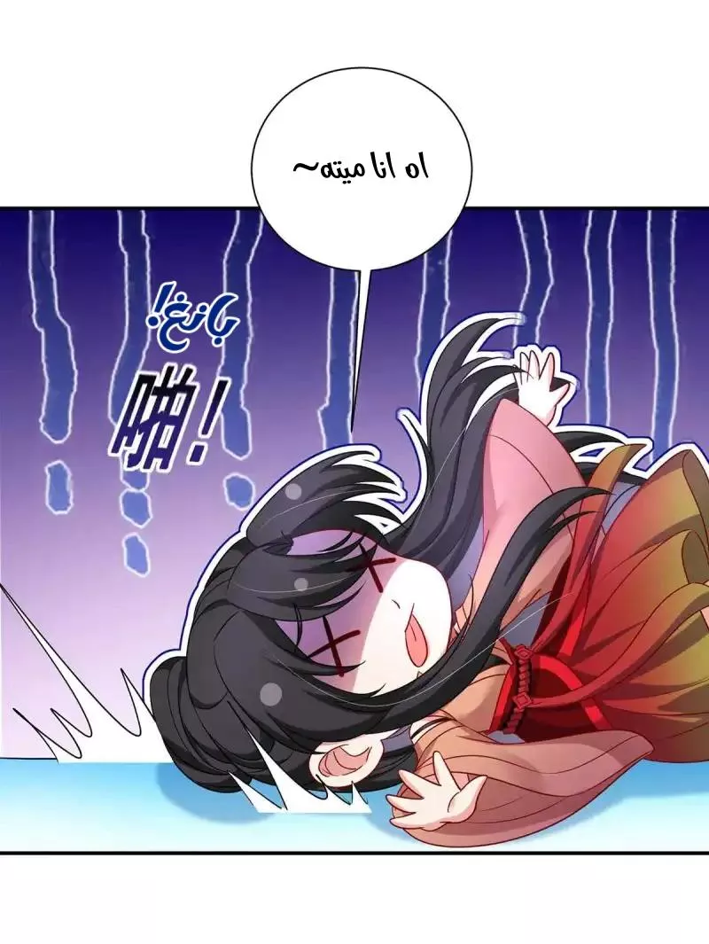 الصفحة 17