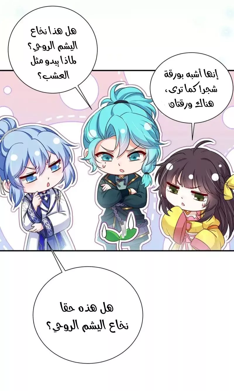 الصفحة 24