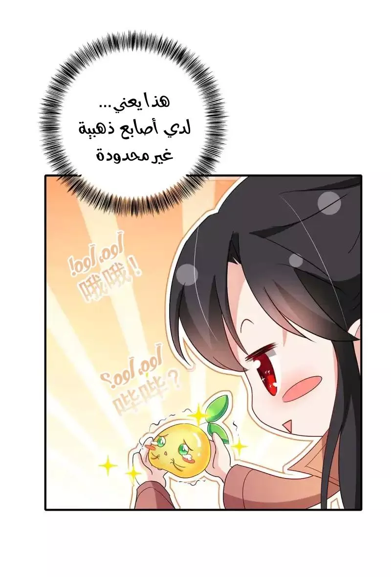 الصفحة 28