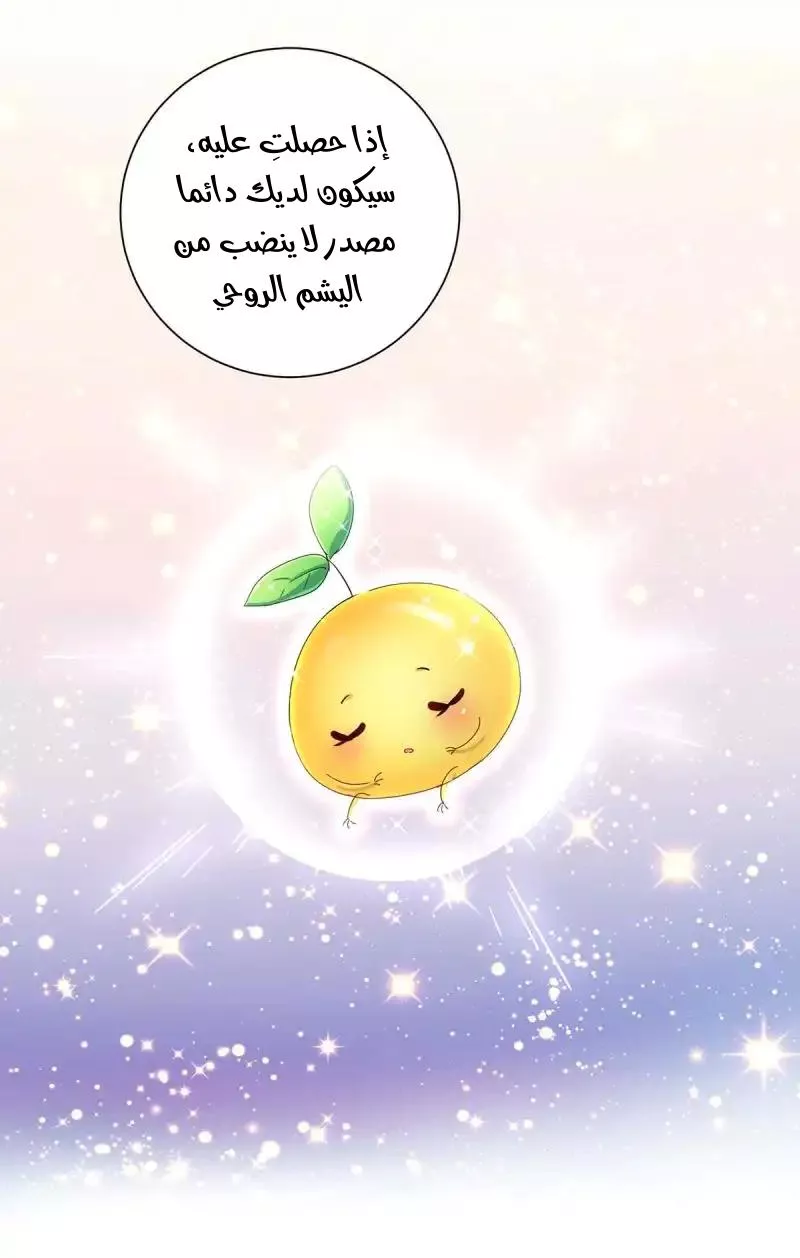 الصفحة 33