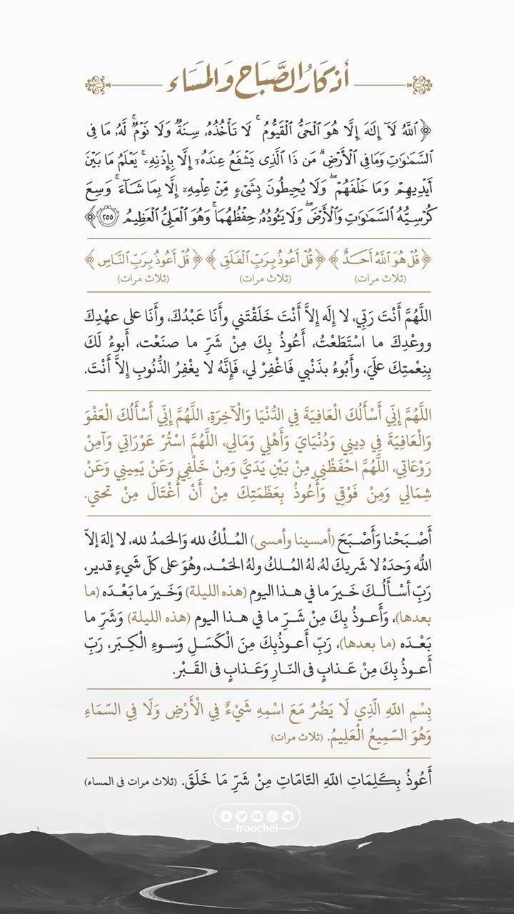 الصفحة 31