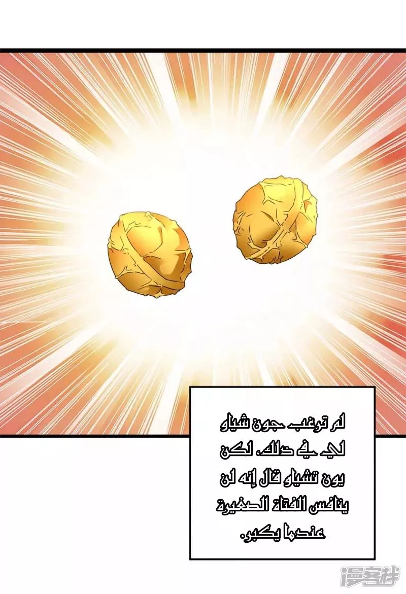 الصفحة 23