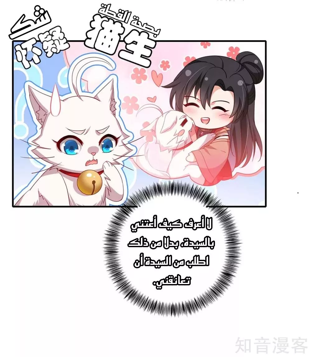 الصفحة 14