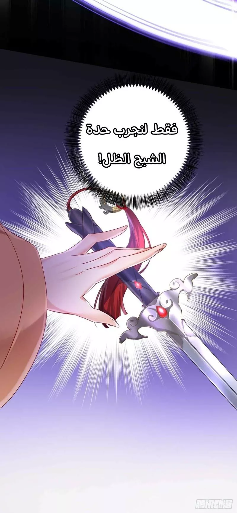 الصفحة 17