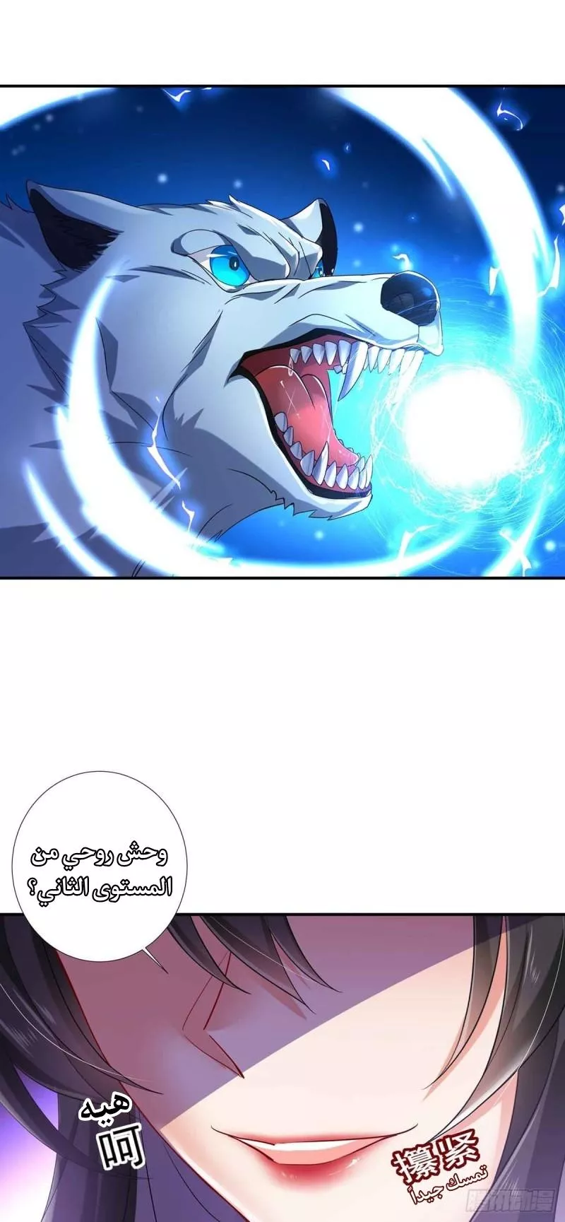 الصفحة 24