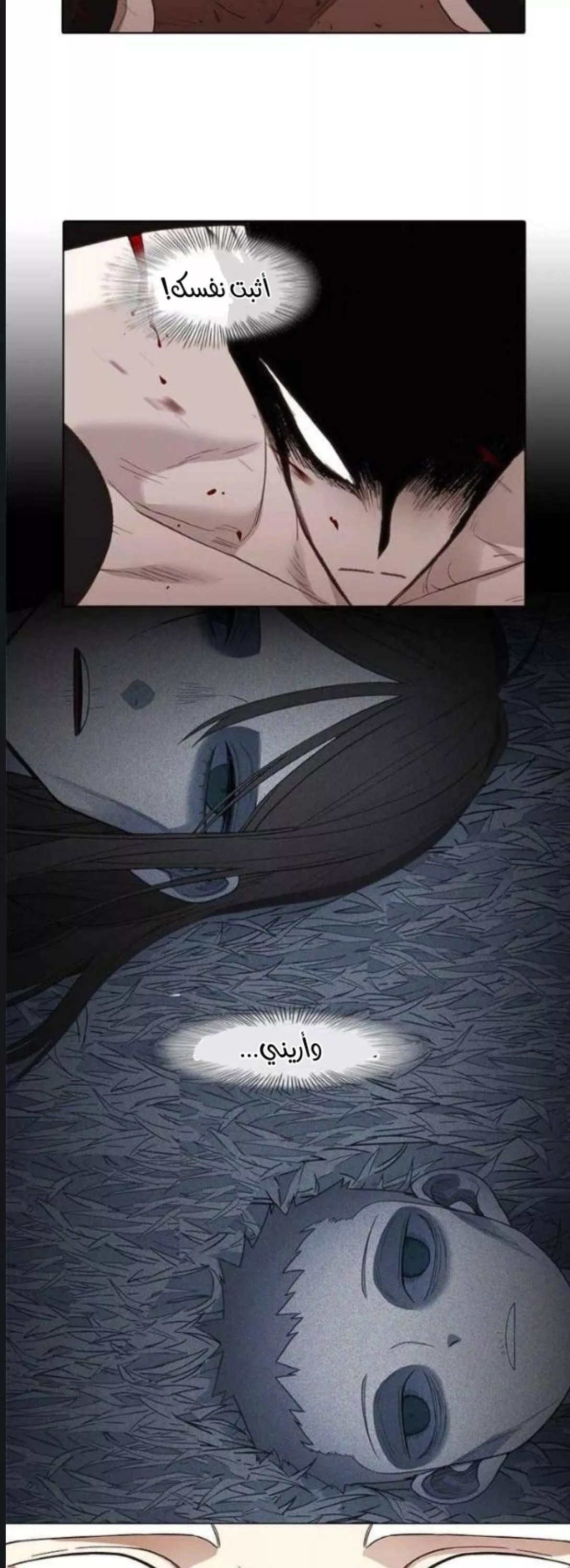 الصفحة 15