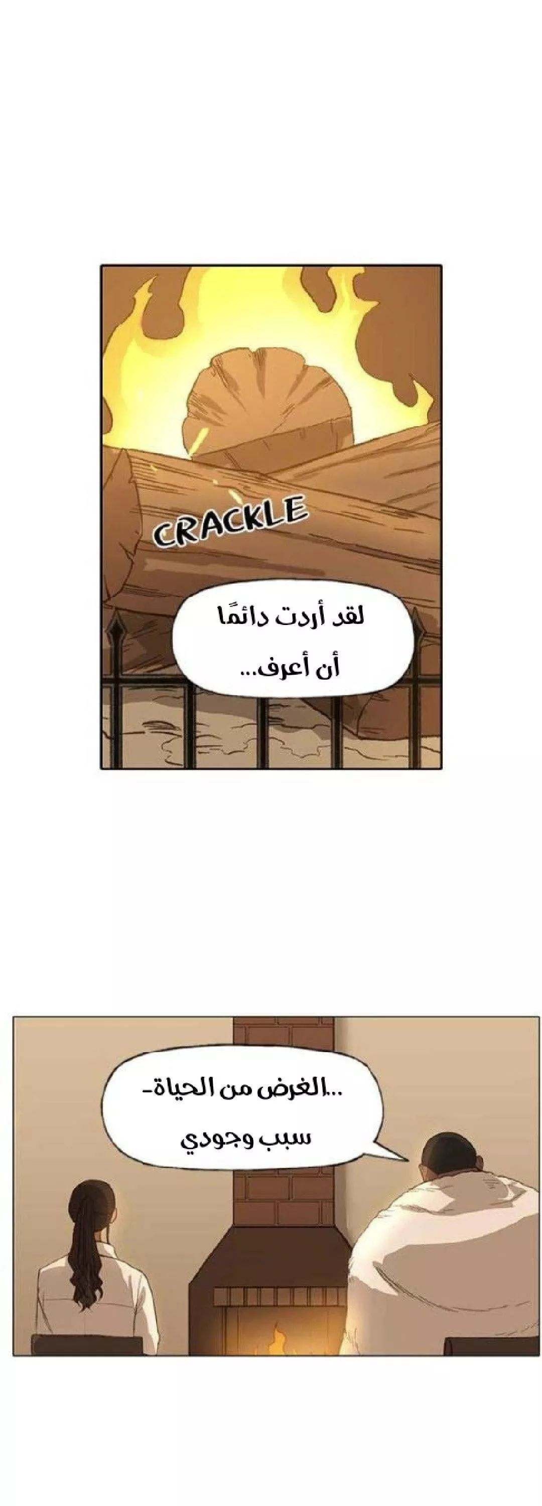 الصفحة 41