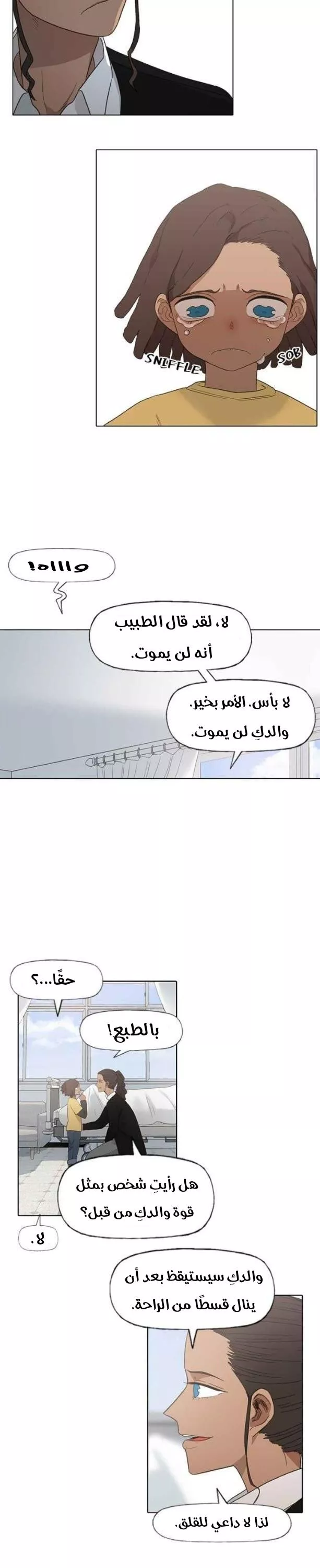 الصفحة 14