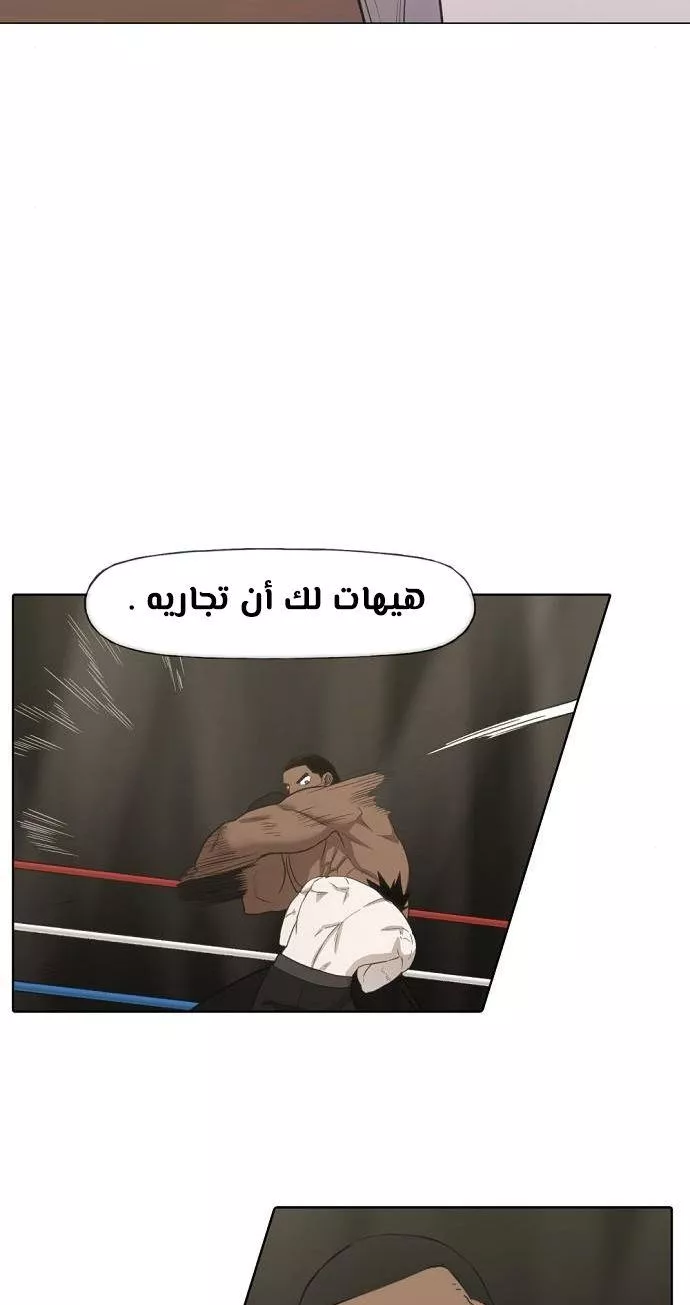 الصفحة 29