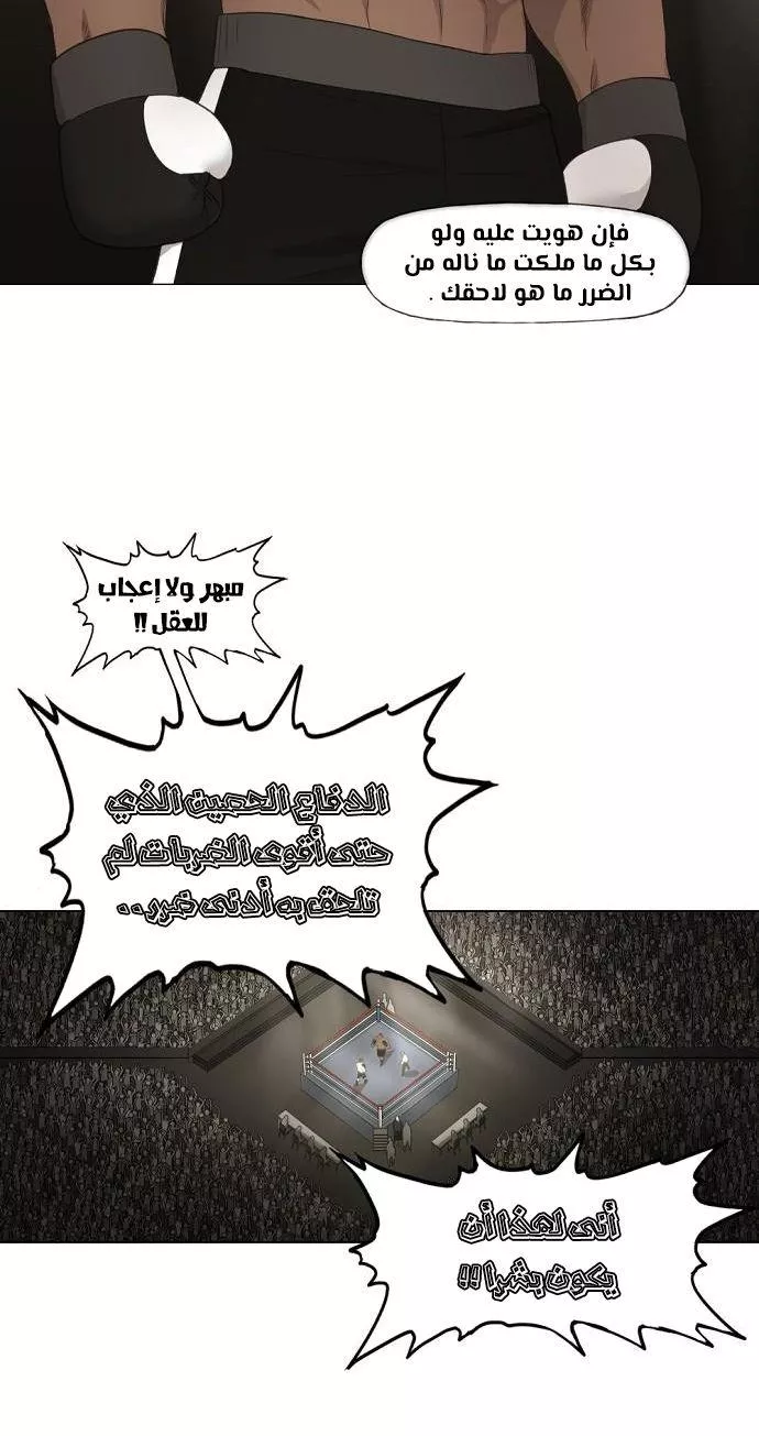 الصفحة 37