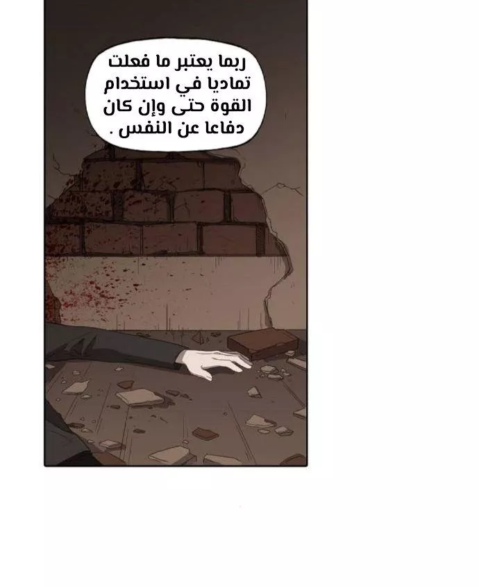 الصفحة 17