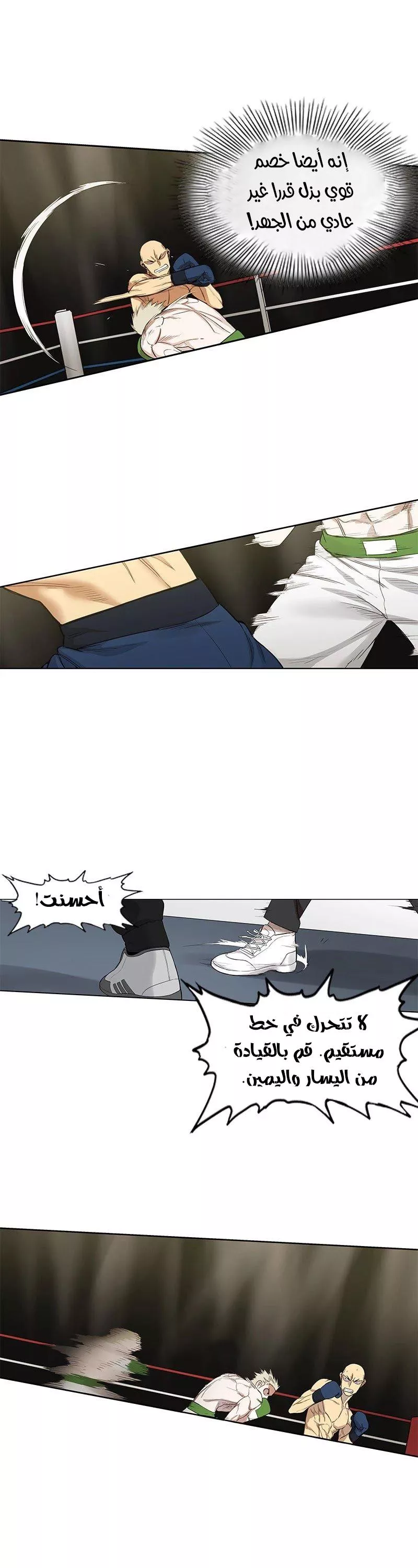 الصفحة 14