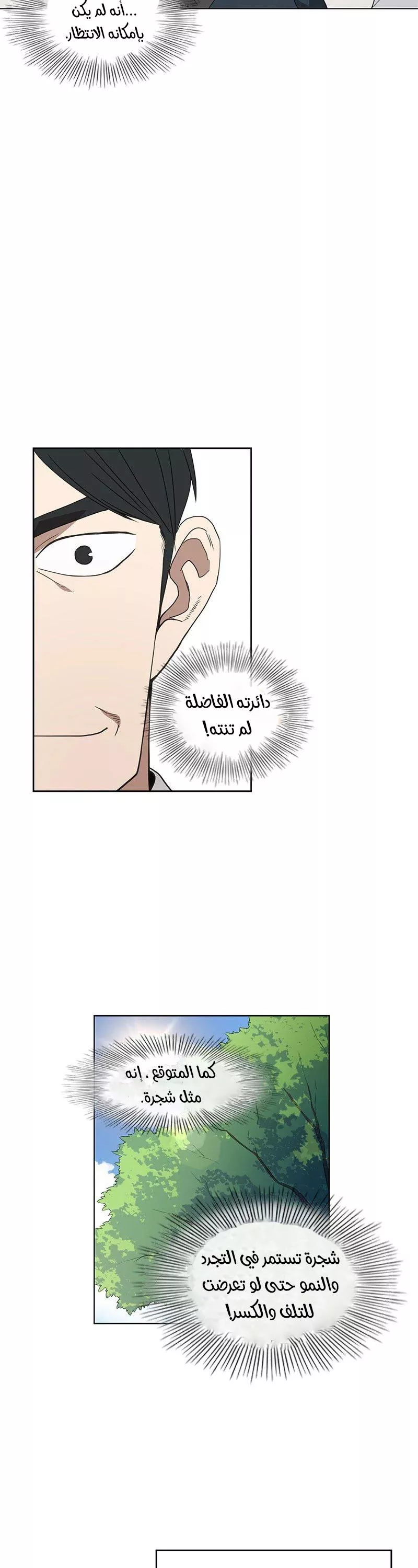 الصفحة 42