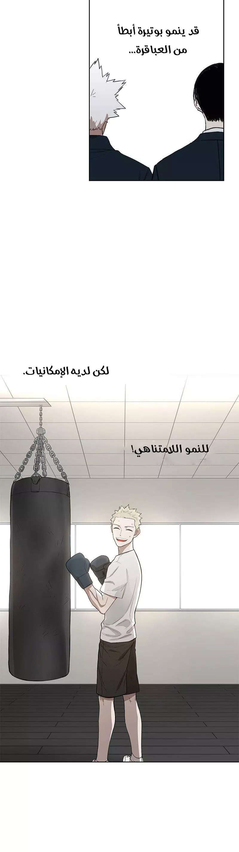 الصفحة 43