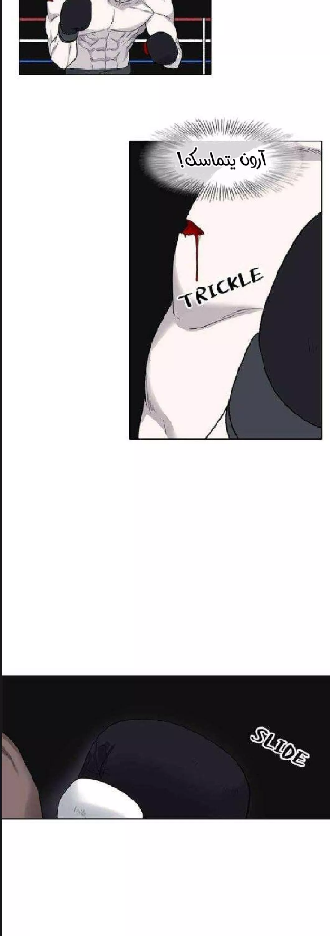 الصفحة 24