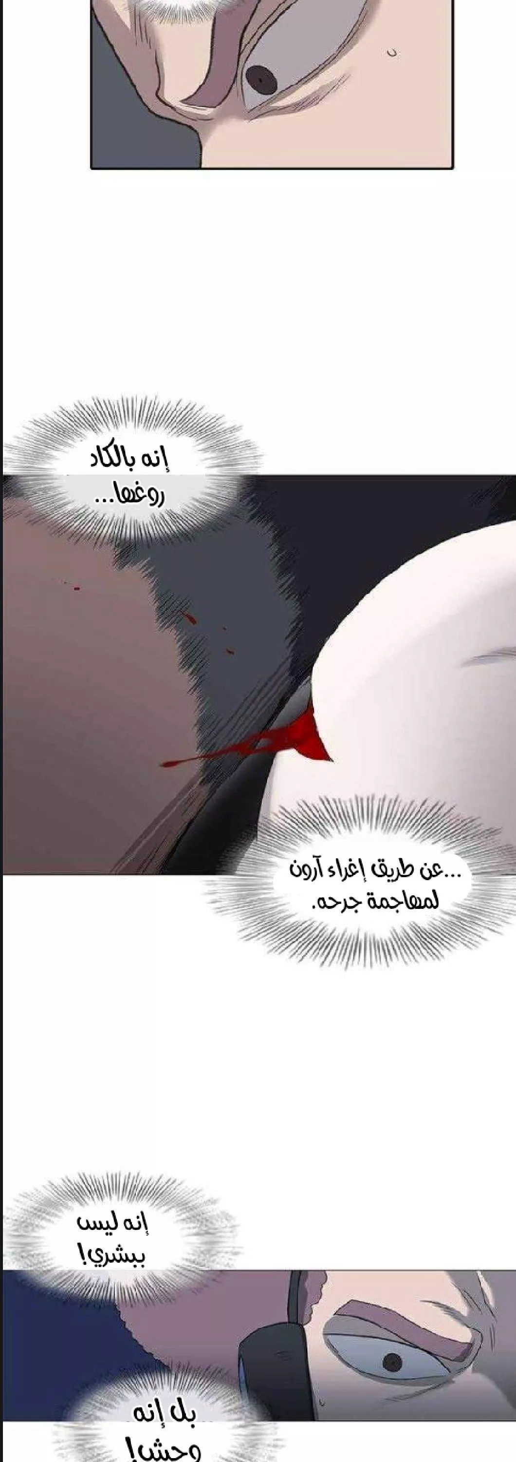 الصفحة 28