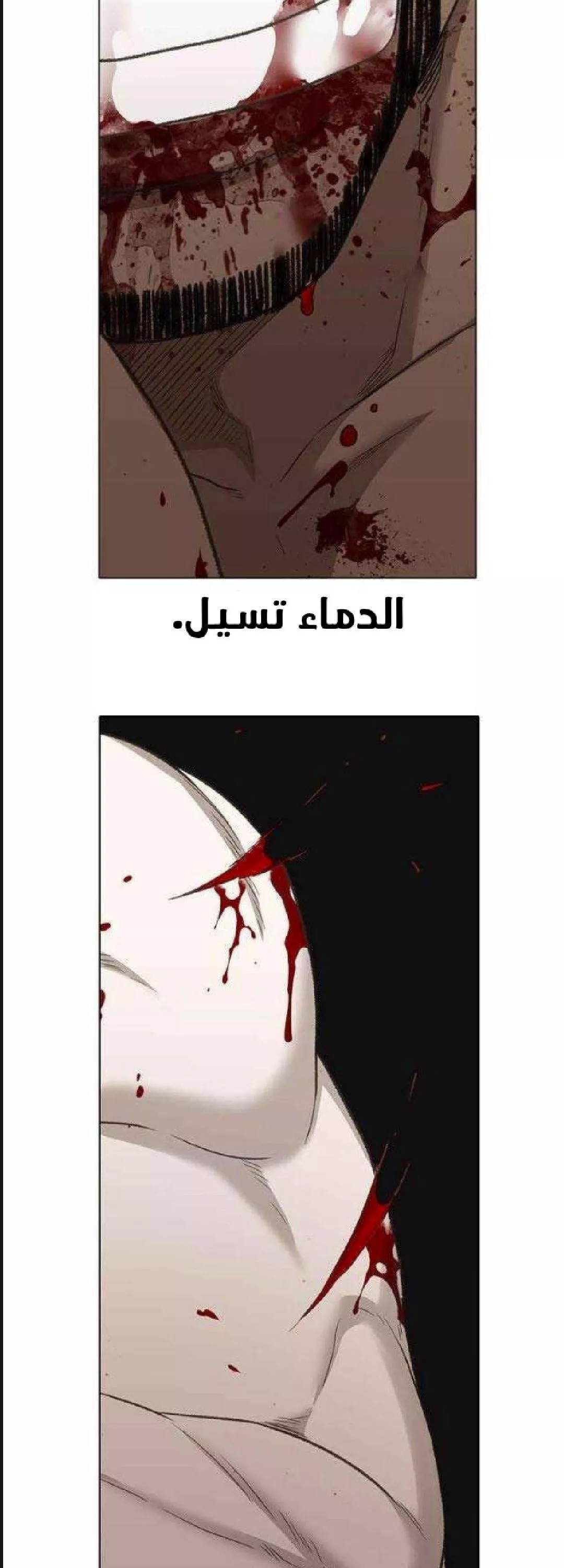 الصفحة 40
