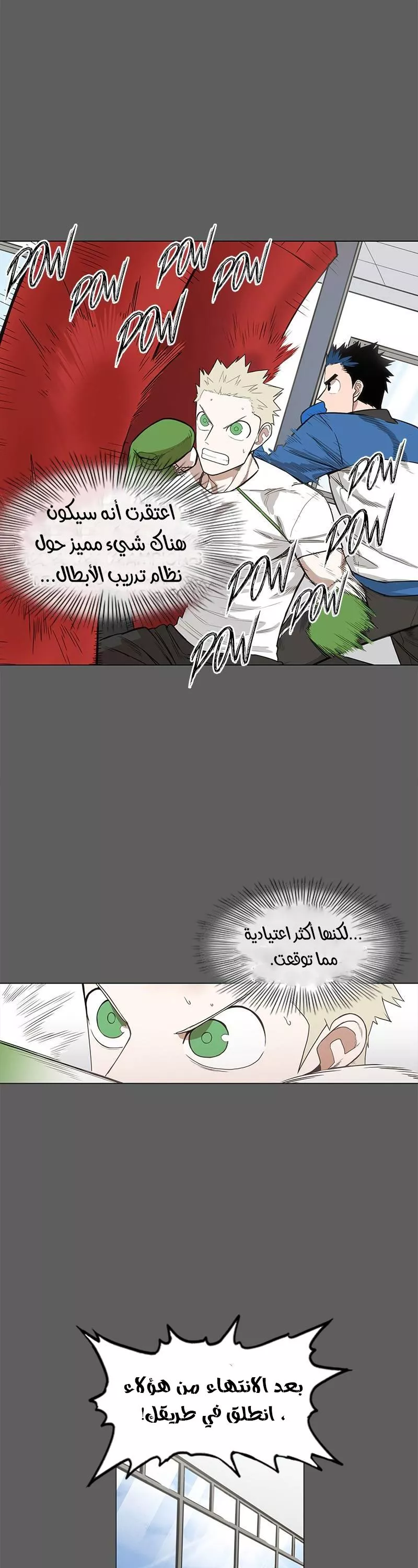 الصفحة 17