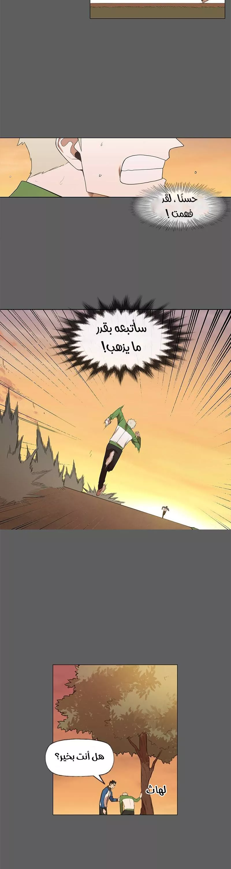 الصفحة 19