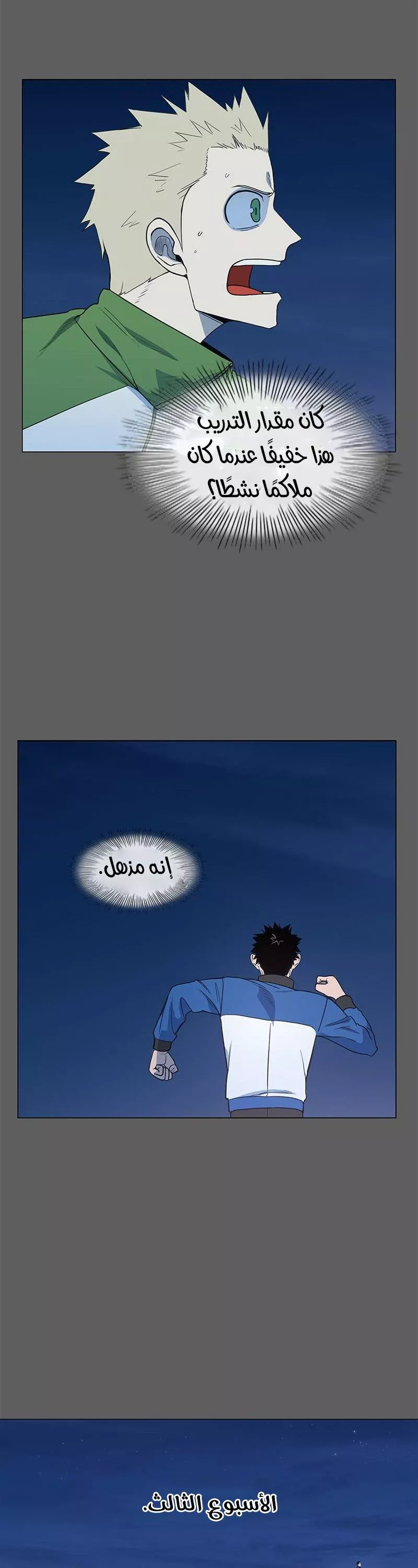 الصفحة 24