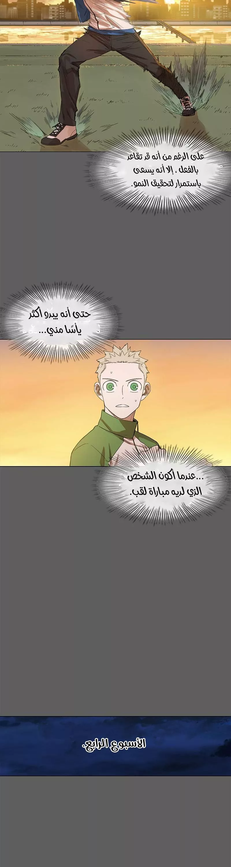 الصفحة 29