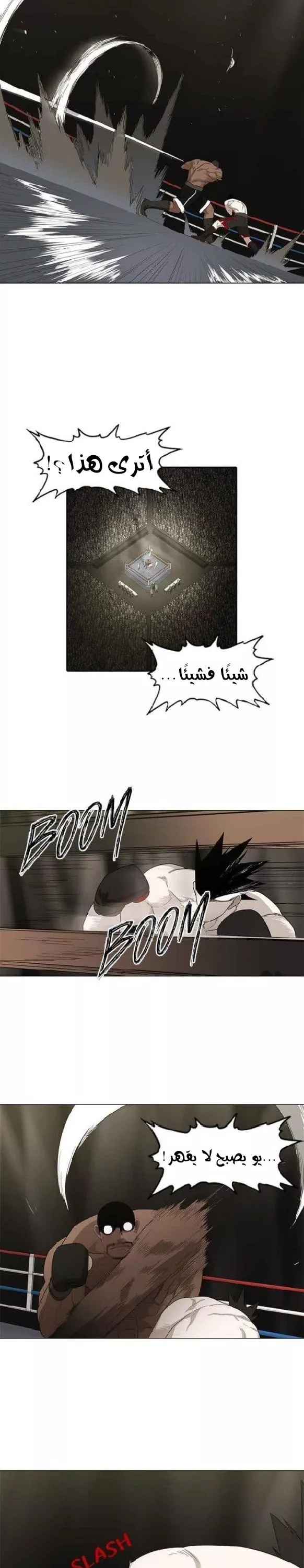 الصفحة 10