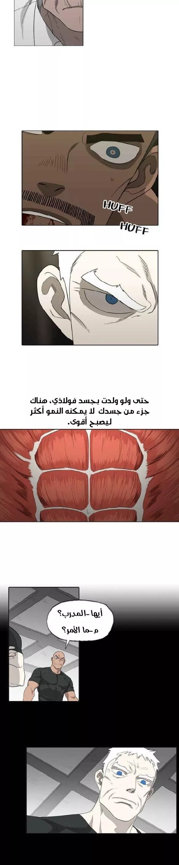 الصفحة 15