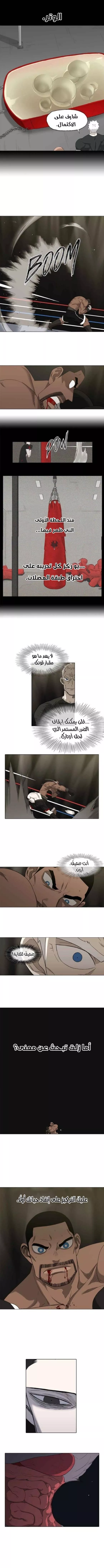 الصفحة 16