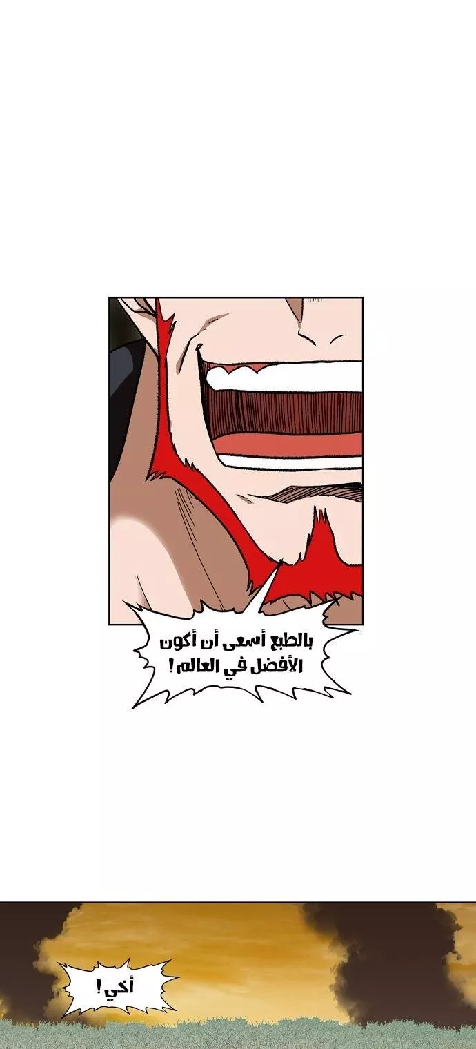 الصفحة 17